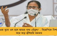 'ওরা বুনো ওল হলে আমরা বাঘা তেঁতুল!' - বিজেপিকে নিশানা করে কড়া হুঁশিয়ারি মমতার