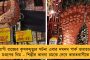 জাগো বাংলার শারদ সংখ্যা ও গানের অ্যালবাম প্রকাশ মমতার – নিজেও গাইলেন, বাজালেন সিন্থেসাইজার