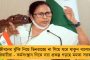 ছট পুজোয় মিলবে দু’দিনের ছুটি - রাজ্য সরকারী কর্মচারীদের সুখবর শোনাল মমতা সরকার