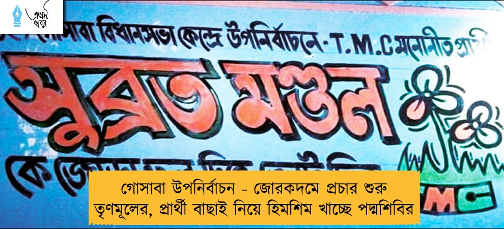 গোসাবা উপনির্বাচন - জোরকদমে প্রচার শুরু তৃণমূলের, প্রার্থী বাছাই নিয়ে হিমশিম খাচ্ছে পদ্মশিবির