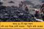 কলকাতা হাইকোর্টের ইতিহাসে নজিরবিহীন ঘটনা - পুজোর মধ্যেই হবে মণ্ডপে জুতো মামলার শুনানি