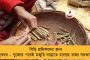 আইপিএলে ভাল পারফরম্যান্সের পুরস্কার - টি২০ বিশ্বকাপে ভারতের মূল দলে জায়গা পেলেন শার্দূল ঠাকুর