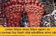সোশ্যাল মিডিয়ার খবরের ভিত্তিতে হস্তক্ষেপ নয় - জুতোর মণ্ডপসজ্জা নিয়ে বিজেপি ঘনিষ্ঠ আইনজীবিকে ভর্ৎসনা হাইকোর্টের
