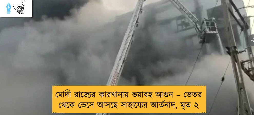 মোদী রাজ্যের কারখানায় ভয়াবহ আগুন – ভেতর থেকে ভেসে আসছে সাহায্যের আর্তনাদ, মৃত ২