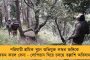 পাকিস্তানের বিরুদ্ধে নামার আগে এই ম্যাচকেই পাখির চোখ করছেন বিরাট – কোন কোন জায়গা নিয়ে ভাবতে হবে কোহলিদের