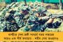 টি-টোয়েন্টি বিশ্বকাপের দ্বিতীয় প্রস্তুতি ম্যাচে অস্ট্রেলিয়াকে হারাল ভারত - রান পেলেন রোহিত, রাহুল, সূর্য