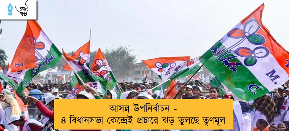 আসন্ন উপনির্বাচন - ৪ বিধানসভা কেন্দ্রেই প্রচারে ঝড় তুলছে তৃণমূল