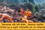 টি-টোয়েন্টি বিশ্বকাপে ভাল ফলই আফগানিস্তানের মানুষের মুখে হাসি ফোটাতে পারে – জানালেন মহম্মদ নবি
