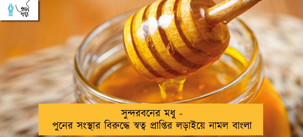 সুন্দরবনের মধু - পুনের সংস্থার বিরুদ্ধে স্বত্ব প্রাপ্তির লড়াইয়ে নামল বাংলা