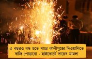 এ বছরও বন্ধ হতে পারে কালীপুজো-দিওয়ালিতে বাজি পোড়ানো - হাইকোর্টে দায়ের মামলা