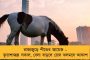 খড়দহে ডবল ডোজ না থাকলে ভোটারদের ঢুকতে দিচ্ছে না, বাধা শোভনদেবকেও - কাঠগড়ায় কেন্দ্রীয় বাহিনী