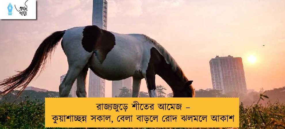 রাজ্যজুড়ে শীতের আমেজ – কুয়াশাচ্ছন্ন সকাল, বেলা বাড়লে রোদ ঝলমলে আকাশ