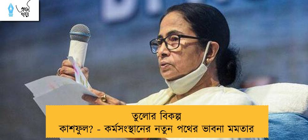 তুলোর বিকল্প কাশফুল? - কর্মসংস্থানের নতুন পথের ভাবনা মমতার