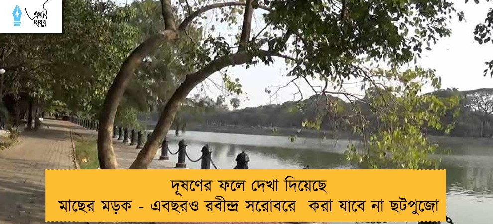 দূষণের ফলে দেখা দিয়েছে মাছের মড়ক - এবছরও রবীন্দ্র সরোবরে করা যাবে না ছটপুজো