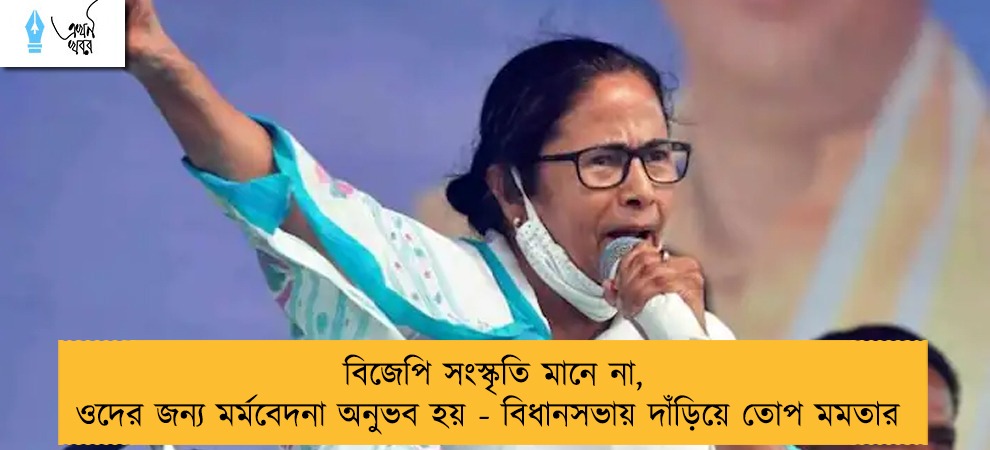 বিজেপি সংস্কৃতি মানে না, ওদের জন্য মর্মবেদনা অনুভব হয় - বিধানসভায় দাঁড়িয়ে তোপ মমতার