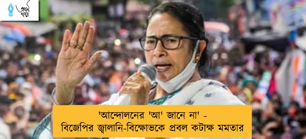 'আন্দোলনের 'আ' জানে না' - বিজেপির জ্বালানি-বিক্ষোভকে প্রবল কটাক্ষ মমতার