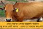 ফের দেশের দৈনিক আক্রান্ত নামল ১০ হাজারে ঘরে - ২৪ ঘন্টায় মৃত্যু কমে ১২৫
