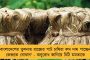আরব সাগরের তীরে ঘাসফুল ফোটানোর টার্গেট - গোয়ায় বড় সংখ্যায় আসন দখলের লক্ষ্যে এগাচ্ছে তৃণমূল