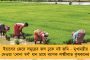 'মাছ লক্ষ্মীদেবীর বোন', আজব নিদান কেন্দ্রীয় মৎস্যমন্ত্রীর - হাসির রোল নেটমাধ্যমে