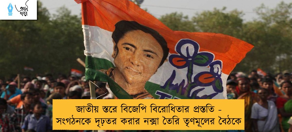 জাতীয় স্তরে বিজেপি বিরোধিতার প্রস্ততি - সংগঠনকে দৃঢ়তর করার নক্সা তৈরি তৃণমূলের বৈঠকে