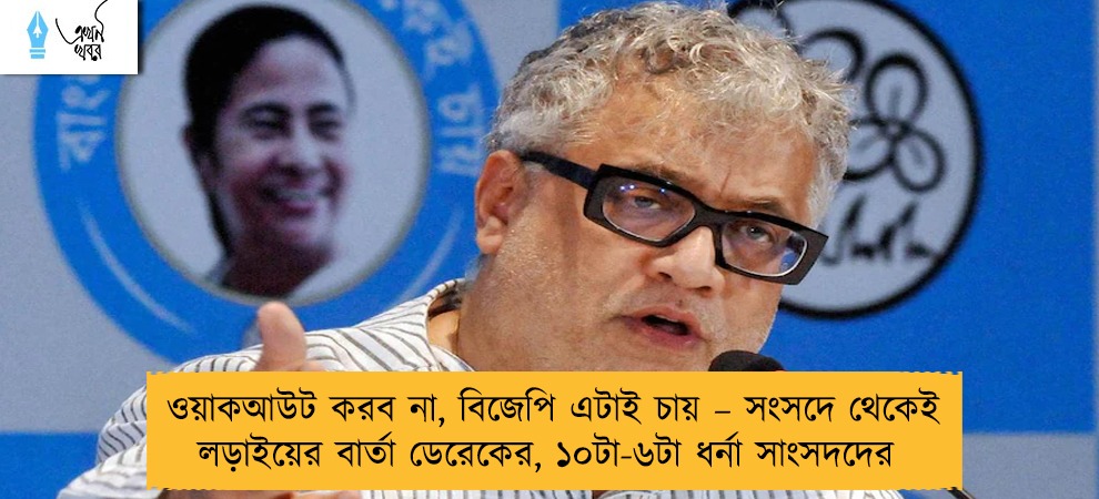 ওয়াকআউট করব না, বিজেপি এটাই চায় – সংসদে থেকেই লড়াইয়ের বার্তা ডেরেকের, ১০টা-৬টা ধর্না সাংসদদের