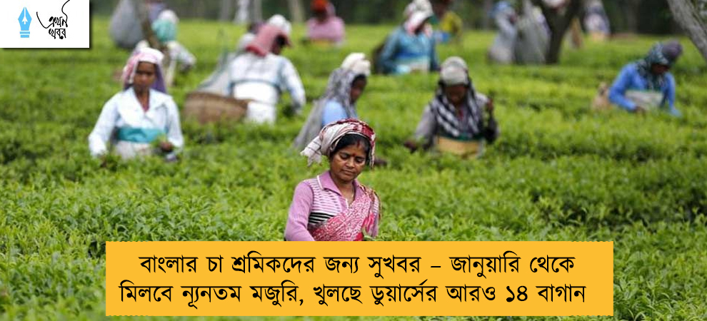 বাংলার চা শ্রমিকদের জন্য সুখবর – জানুয়ারি থেকে মিলবে ন্যূনতম মজুরি, খুলছে ডুয়ার্সের আরও ১৪ বাগান