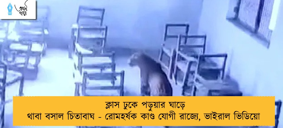 ক্লাস ঢুকে পড়ুয়ার ঘাড়ে থাবা বসাল চিতাবাঘ - রোমহর্ষক কাণ্ড যোগী রাজ্যে, ভাইরাল ভিডিয়ো
