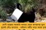 বিরাট প্রশ্ন! - নিউজিল্যান্ডের বিরুদ্ধে দ্বিতীয় টেস্টে কোহলি আউট ছিলেন কিনা, মতামত জানালেন শেন ওয়ার্ন