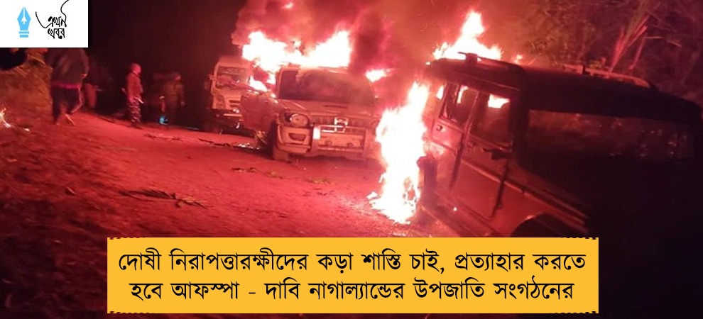 দোষী নিরাপত্তারক্ষীদের কড়া শাস্তি চাই, প্রত্যাহার করতে হবে আফস্পা - দাবি নাগাল্যান্ডের উপজাতি সংগঠনের