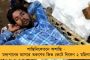 গঙ্গার ঘাটে কুমির! আরামে চিৎ হয়ে শুয়ে কচুরিপানায়  - হইহই শ্রীরামপুরে