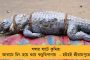 বিতর্ক ভুলে এবার বড় পরীক্ষা - অ্যাশেজের মহারণে তৈরি দুই অধিনায়ক