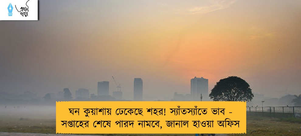 ঘন কুয়াশায় ঢেকেছে শহর! স্যাঁতস্যাঁতে ভাব - সপ্তাহের শেষে পারদ নামবে, জানাল হাওয়া অফিস