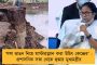 অধিনায়ক হিসেবে অভিষেকে প্যাট কামিন্সের - ৫ উইকেট, ছুঁলেন ১২৭ বছরের পুরনো রেকর্ড