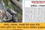 দুরন্ত এমবাপে! - বিশ্বজয়ী ফ্রান্সের তরুণ তারকা ভাঙলেন সতীর্থ মেসির রেকর্ড