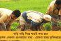 সংসদের গান্ধীমূর্তির পাদদেশে পিকনিকের মুডে বিরোধী সাংসদরা - খাবারেও বৈচিত্রের মধ্যে ঐক্য