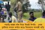 টেস্ট চ্যাম্পিয়নশিপের শীর্ষে বাবররা! - শাকিবদের হারিয়ে কোহলিদের অনেক আগে