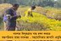 তৃণমূলে যোগ দিতে চাই – ১৪১ নম্বর ওয়ার্ডে জয়ের পরেই জানিয়ে দিলেন নির্দল প্রার্থী পূর্বাশা