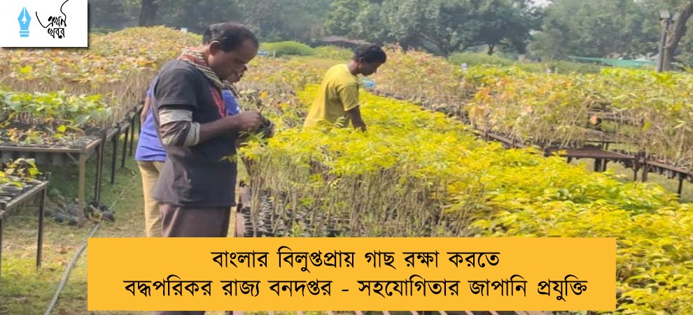 বাংলার বিলুপ্তপ্রায় গাছ রক্ষা করতে বদ্ধপরিকর রাজ্য বনদপ্তর - সহযোগিতার জাপানি প্রযুক্তি