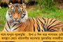 'ননপ্লেয়িং ক্যাপ্টেন' নয়, শিলিগুড়িতে দলের কাণ্ডারী হন - অশোককে ফোন করে ফের পুরভোটে লড়ার আর্জি বুদ্ধের