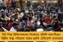 বনদফতরের ঘুমপাড়ানি গুলিতেই কাবু - কুলতলিতে ৬ দিন পর 'বাঘবন্দী'