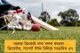 হোয়াটসঅ্যাপেই জানানো যাবে যাবতীয় অভিযোগ - কোভিডকালে নয়া পরিষেবা চালু করল কলকাতা পুলিশ