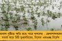 ভাতিন্দায় কি সত্যিই বিঘ্নিত হয়েছিল মোদীর নিরাপত্তা? - তদন্ত করবে সুপ্রিম কোর্টের নিয়োগ করা কমিটি