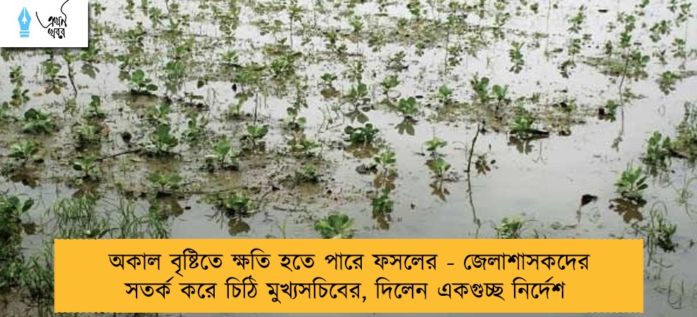 অকাল বৃষ্টিতে ক্ষতি হতে পারে ফসলের - জেলাশাসকদের সতর্ক করে চিঠি মুখ্যসচিবের, দিলেন একগুচ্ছ নির্দেশ