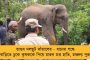 ত্রিপুরায় স্মরণ সভা - শহিদ মুজিবর ইসলামের স্মৃতিতে শ্রদ্ধা জানাল তৃণমূল নেতৃত্ব