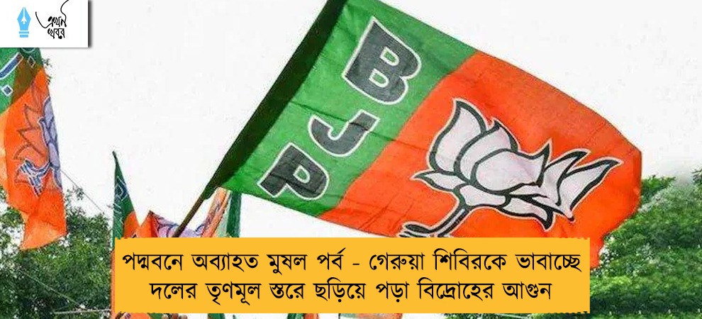 পদ্মবনে অব্যাহত মুষল পর্ব - গেরুয়া শিবিরকে ভাবাচ্ছে দলের তৃণমূল স্তরে ছড়িয়ে পড়া বিদ্রোহের আগুন