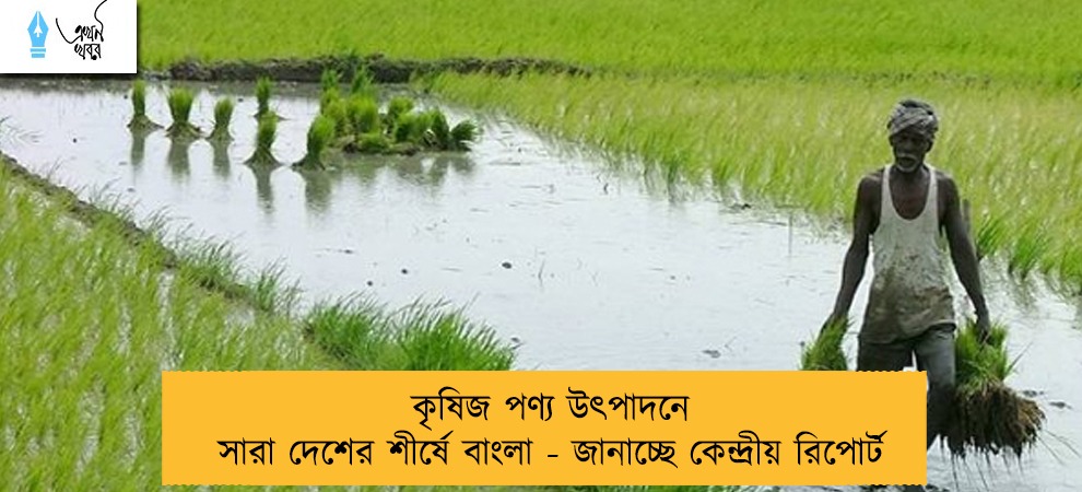 কৃষিজ পণ্য উৎপাদনে সারা দেশের শীর্ষে বাংলা - জানাচ্ছে কেন্দ্রীয় রিপোর্ট
