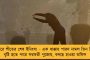 ‘মাল পটেগি ক্যায়া’! - বিজেপি শাসিত মধ্যপ্রদেশের সাধারণতন্ত্র দিবসের ট্যাবলোয় এইসব শব্দ! নিন্দার ঝড়