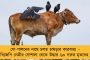 উত্তরপ্রদেশ ভোটে ৯৯ জন ক্রিমিনালকে প্রার্থী করেছে বিজেপি - পদ্মের পর্দা ফাঁস করলেন অখিলেশ