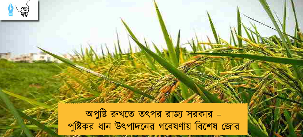 অপুষ্টি রুখতে তৎপর রাজ্য সরকার – পুষ্টিকর ধান উৎপাদনের গবেষণায় বিশেষ জোর