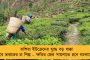 সিটকে তদন্তে সাহায্য করতে রাজি আনিসের বাবা – হাজির থাকবেন টিআই প্যারেডেও